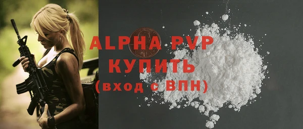 ПСИЛОЦИБИНОВЫЕ ГРИБЫ Осинники