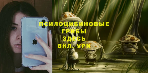 ECSTASY Алексеевка