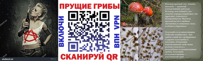 что такое наркотик  ссылка на мегу ONION  Псилоцибиновые грибы Psilocybine cubensis  Комсомольск 